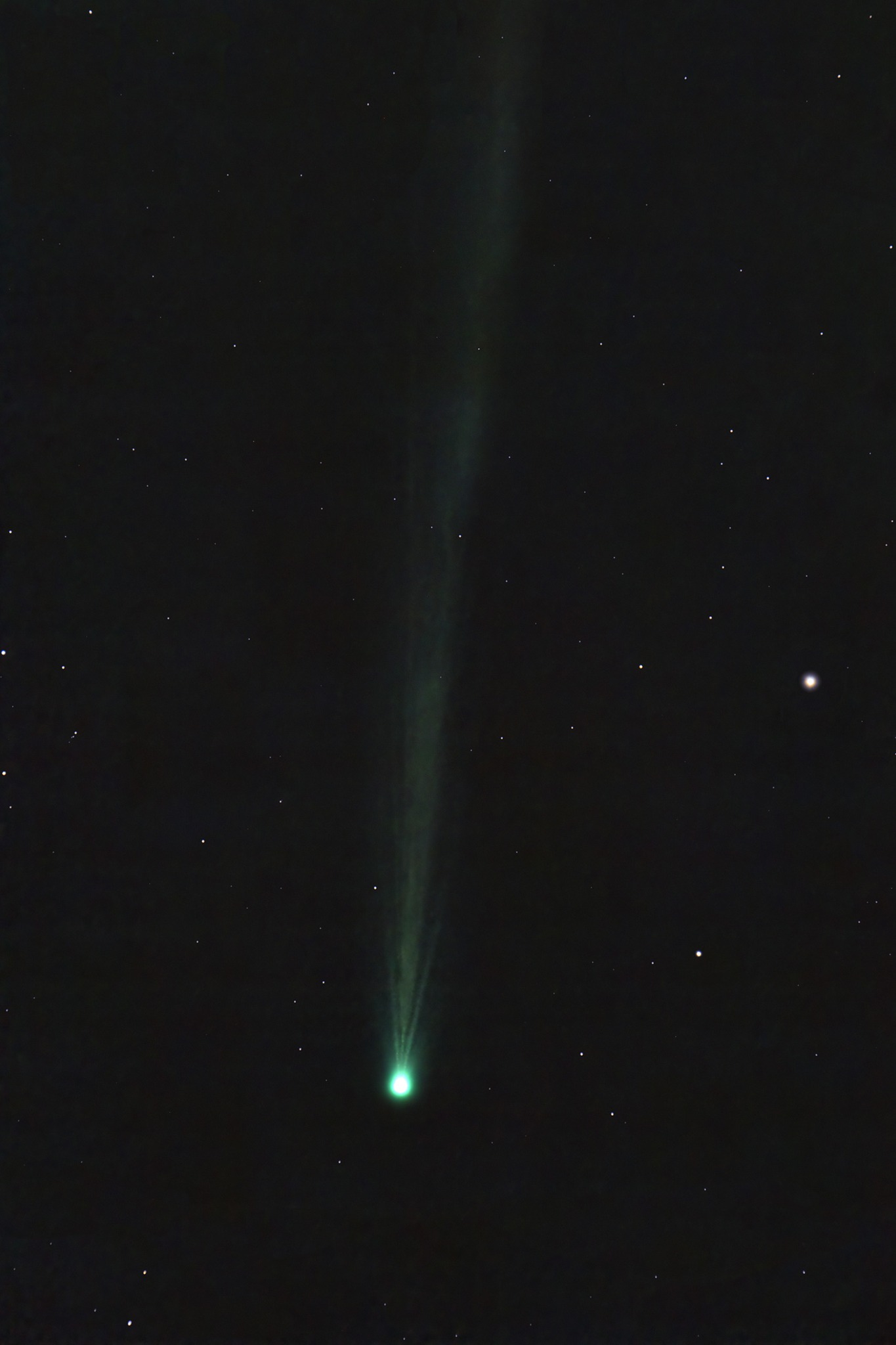 Komet C2023P1 - autor Zoran Novak